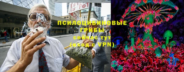 метадон Алексин