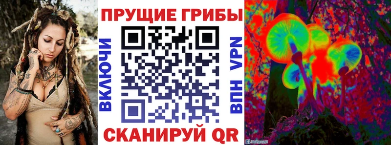 Галлюциногенные грибы Cubensis  Омутнинск 